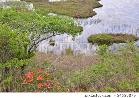 Kirigamine Kogen Nagano Prefecture Shimosuwa Town 54556879