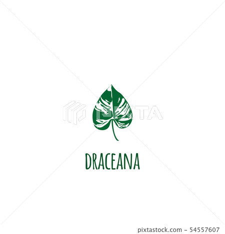 Vector isolated tropical jungle green palm leaves. - Stock Illustration ...