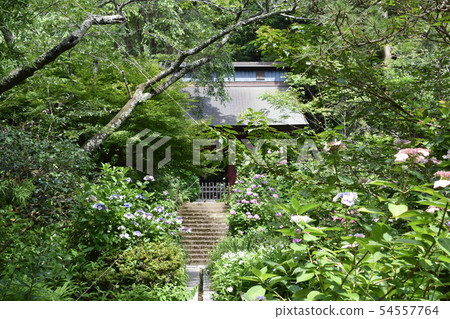 鎌倉市Myohoji Temple 鎌倉市Myohoji Temple 54557764