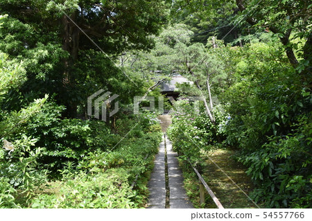 鎌倉市Myohoji Temple 鎌倉市Myohoji Temple 54557766