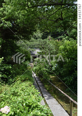 鎌倉市Myohoji Temple 鎌倉市Myohoji Temple 54557767