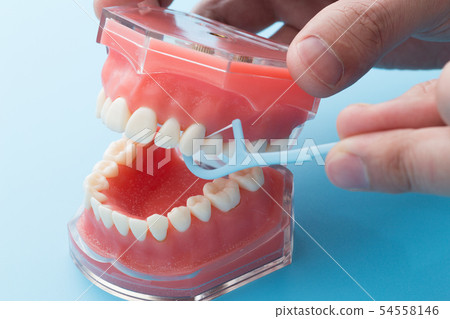 Dental floss Dental floss 54558146