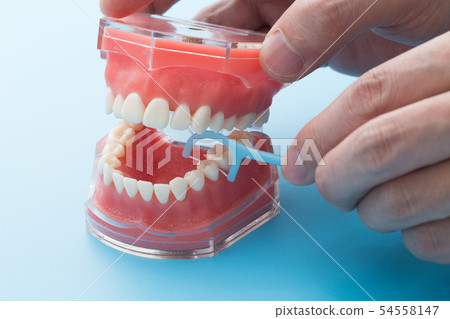 線程線程 54558147