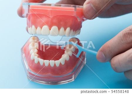 Thread toothpick 54558148