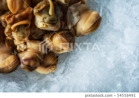 Sea delicacies. Fresh seafood. Rapana on ice. Sea delicacies. Fresh seafood. Rapana on ice. 54558491