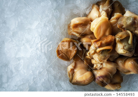 Sea delicacies. Fresh seafood. Rapana on ice. 54558493