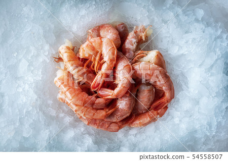 Sea delicacies. Fresh seafood. Shrimp on ice. Sea delicacies. Fresh seafood. Shrimp on ice. 54558507