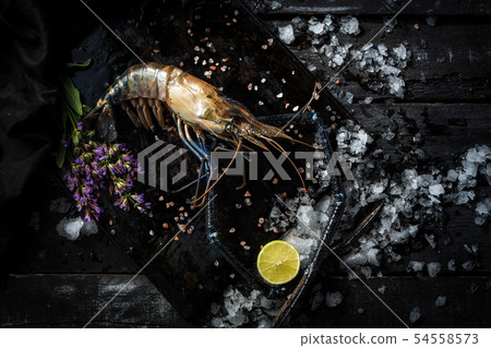 Sea delicacies. Fresh seafood. Scampia. 54558573