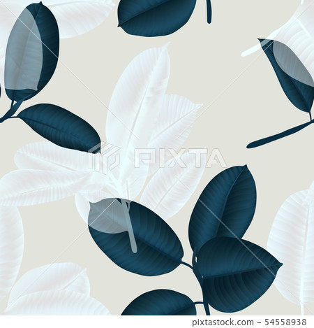 Seamless pattern, dark green and white Ficus Seamless pattern, dark green and white Ficus 54558938