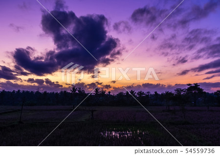 Amazing sunrise view in Ubud, Bali, Indonesia 54559736