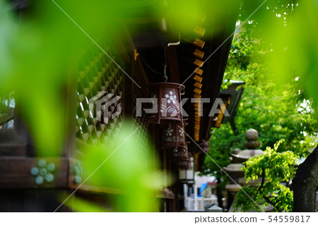 大阪天滿宮神社 大阪天滿宮神社 54559817