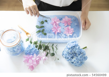 Dried flower  54560499