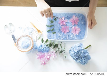 Dried flower  54560501