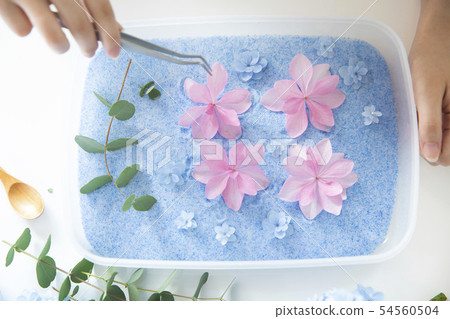 Dried flower  54560504