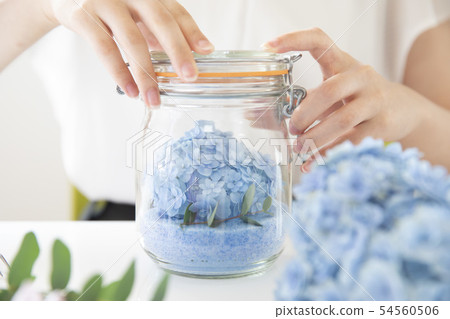 Hydrangea hydrangea dried flower 54560506