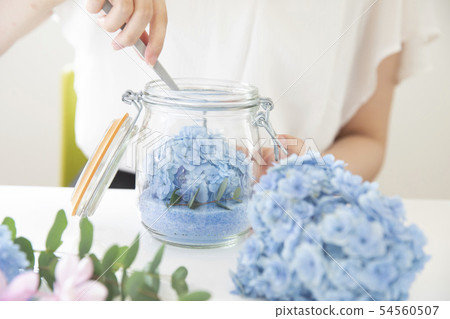 Hydrangea hydrangea dried flower 54560507