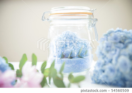 Hydrangea hydrangea dried flower 54560509