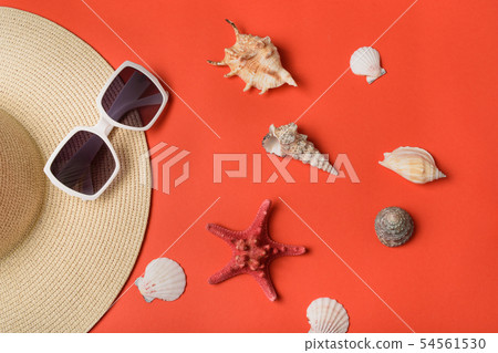 Sun glasses, seashells, part of a hat and 54561530