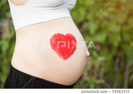 Red heart drawn on a pregnant female belly. 54561531