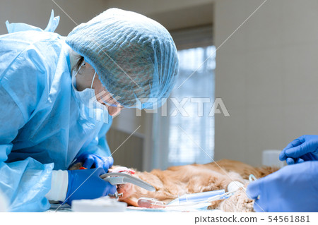 close-up procedure of professional teeth cleaning 54561881