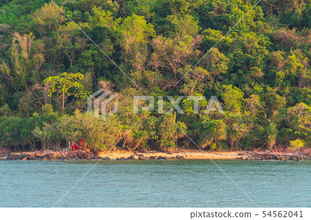 Tree mountain and sea space. Tree mountain and sea space. 54562041