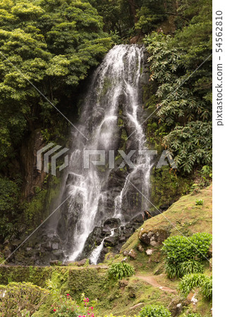 Waterfall in natural park, Nordeste, Sao Miguel 54562810