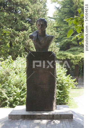 Bust to the poet - Decembrist AI Odoyevskiy in Bust to the poet - Decembrist AI Odoyevskiy in 54564618