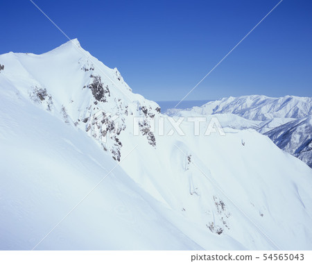 純白色Tanigawadake 54565043