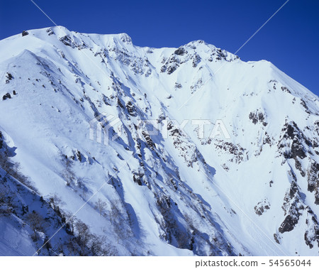 Tanigawadake的雪景 54565044