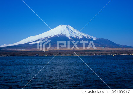 陽光明媚的富士山和山中湖 54565057