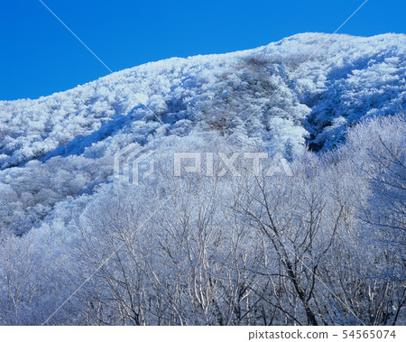 Mt. Akagi, winter makeup mountains and trees 54565074