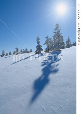 Snow surface shadows, Shiga Kogen, Yokoteyama 54565098