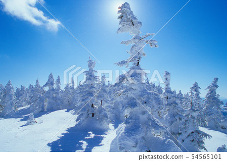 冰川，志賀高原，橫手山的行進 54565101