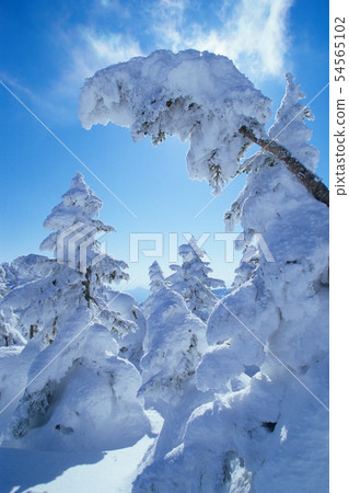 藍天和冰，志賀高原，橫山 54565102