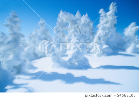 Ice, Shiga Kogen, Yokoteyama Ice, Shiga Kogen, Yokoteyama 54565103