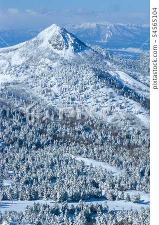 Yukigatake, Shiga Kogen of snow makeup Yukigatake, Shiga Kogen of snow makeup 54565104