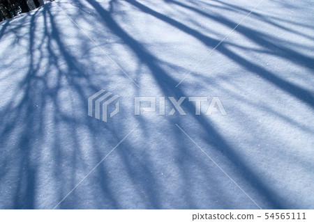 雪面的光和影，Norikura高原 54565111