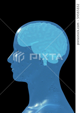 Brain, human brain, brain 54565832