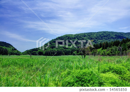 Ashino Seto Wetland 54565850