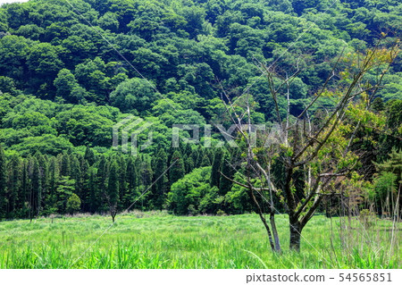 Ashino Seto濕地 54565851