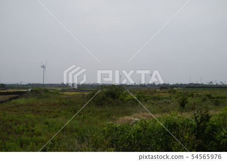 濟州島風光 濟州島風光 54565976