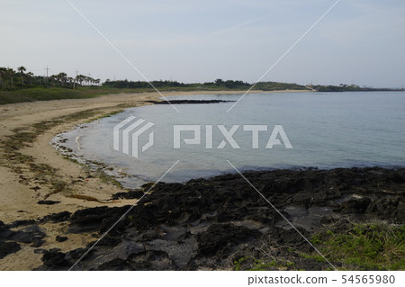 Marine Reef Beach 54565980