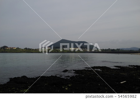 Jimmy Bong來自Hadoshi候鳥的嘴 Jimmy Bong來自Hadoshi候鳥的嘴 54565982