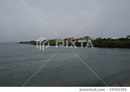 濟州島沿海景觀 54565985