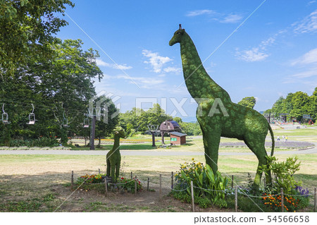 Green giraffe - Stock Photo [54566658] - PIXTA