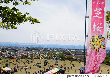 大田芝櫻花節群馬太田十八櫻花芝倉倉八幡宮公園大田區北方體育公園 54566934
