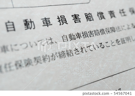 Automobile liability insurance policy 54567041