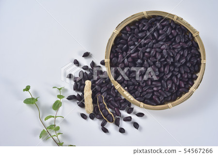 花生 豆子 農業 54567266