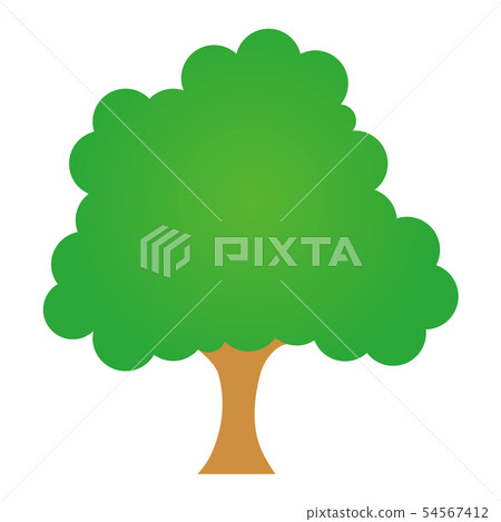 一棵樹 54567412