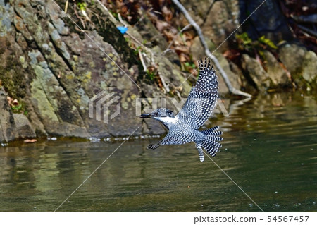 Yamasemi who is busy with child care 54567457